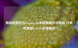 韩国电商巨头Coupang Q3净销售额不及预期 力争年底前Farfetch实现盈利