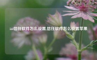 ios信任软件怎么设置,信任软件怎么设置苹果