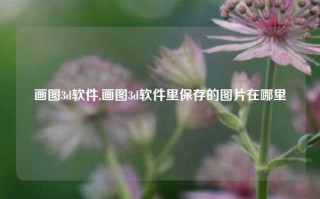 画图3d软件,画图3d软件里保存的图片在哪里