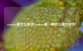 windows是什么软件,windows是一种什么操作软件