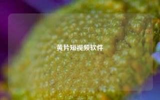 黄片短视频软件