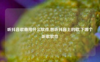 听抖音歌曲用什么软件,想听抖音上的歌,下哪个听歌软件