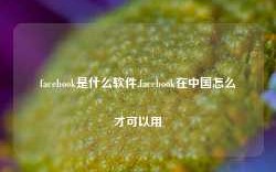 facebook是什么软件,facebook在中国怎么才可以用