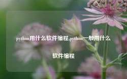 python用什么软件编程,python一般用什么软件编程