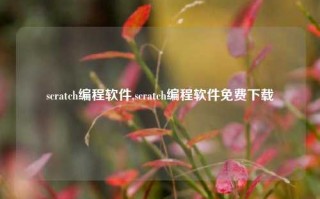 scratch编程软件,scratch编程软件免费下载