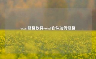 excel修复软件,excel软件如何修复