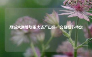 冠城大通筹划重大资产出售，交易细节待定