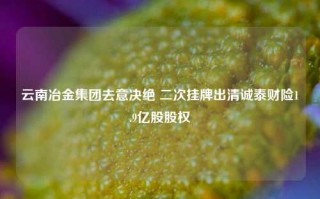 云南冶金集团去意决绝 二次挂牌出清诚泰财险1.9亿股股权