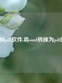 word转换pdf软件,将word转换为pdf的软件