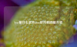 lync是什么软件,lync软件的功能介绍