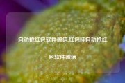 自动抢红包软件微信,红包挂自动抢红包软件微信