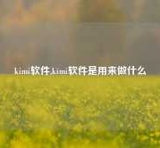 kimi软件,kimi软件是用来做什么