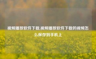 视频播放软件下载,视频播放软件下载的视频怎么保存到手机上