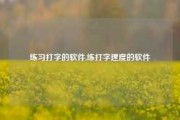 练习打字的软件,练打字速度的软件