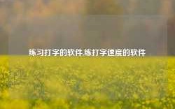 练习打字的软件,练打字速度的软件