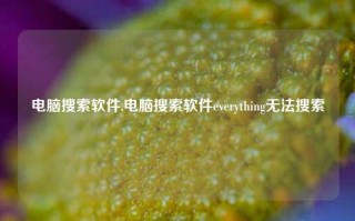 电脑搜索软件,电脑搜索软件everything无法搜索