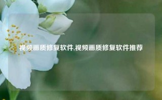 视频画质修复软件,视频画质修复软件推荐