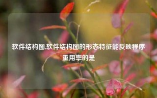 软件结构图,软件结构图的形态特征能反映程序重用率的是