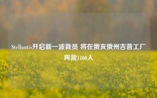 Stellantis开启新一波裁员 将在俄亥俄州吉普工厂再裁1100人