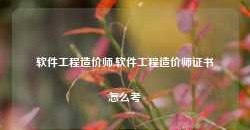 软件工程造价师,软件工程造价师证书怎么考