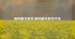 即时聊天软件,即时聊天软件开发