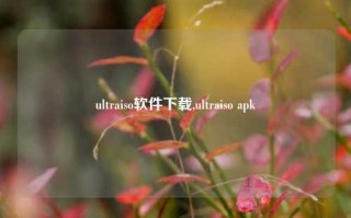 ultraiso软件下载,ultraiso apk