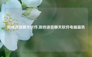 游戏语音聊天软件,游戏语音聊天软件电脑蓝色