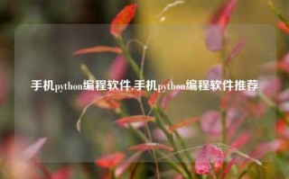 手机python编程软件,手机python编程软件推荐