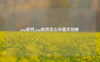 jmp软件,jmp软件怎么中英文切换