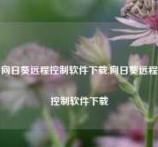 向日葵远程控制软件下载,向日葵远程控制软件下载