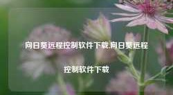 向日葵远程控制软件下载,向日葵远程控制软件下载