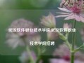 武汉软件职业技术学院,武汉软件职业技术学院招聘