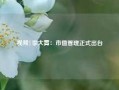 视频|李大霄：市值管理正式出台