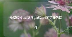 免费转换word软件,pdf转word不花钱的软件