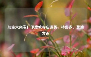 加拿大突发！印度教寺庙遭袭，特鲁多、莫迪发声