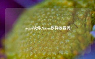 notion软件,Notion软件收费吗