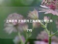 上扬软件,上扬软件上海有限公司上市了吗