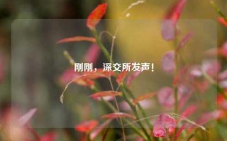 刚刚，深交所发声！