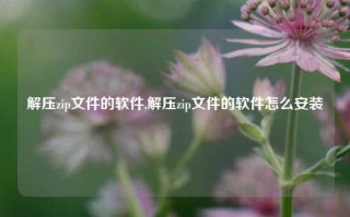 解压zip文件的软件,解压zip文件的软件怎么安装