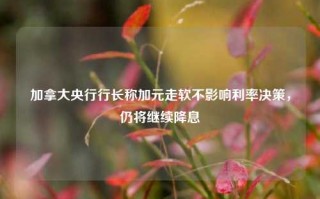 加拿大央行行长称加元走软不影响利率决策，仍将继续降息