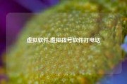 虚拟软件,虚拟拨号软件打电话