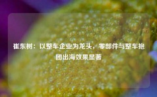 崔东树：以整车企业为龙头，零部件与整车抱团出海效果显著