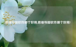 思维导图软件哪个好用,思维导图软件哪个好用?