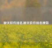 聊天软件排名,聊天软件排名撩妹