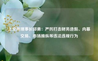 上交所理事长邱勇：严厉打击财务造假、内幕交易、市场操纵等违法违规行为