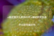 ai格式用什么软件打开,ai格式的文件用什么软件能打开