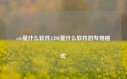 cdr是什么软件,CDR是什么软件的专用格式