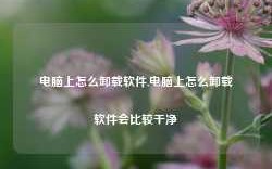 电脑上怎么卸载软件,电脑上怎么卸载软件会比较干净