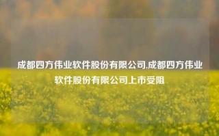 成都四方伟业软件股份有限公司,成都四方伟业软件股份有限公司上市受阻