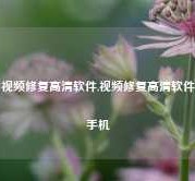 视频修复高清软件,视频修复高清软件手机